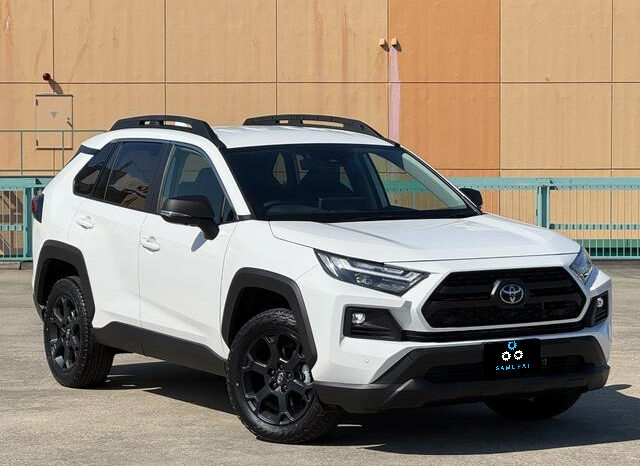 
								TOYOTA RAV4 HYBRID ADVENTURE OFFROAD PACKAGE II full									