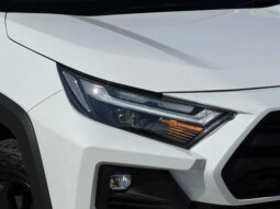 
										TOYOTA RAV4 HYBRID ADVENTURE OFFROAD PACKAGE II full									