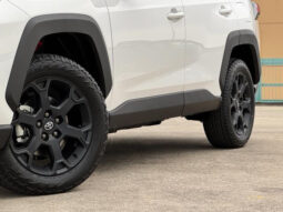 
										TOYOTA RAV4 HYBRID ADVENTURE OFFROAD PACKAGE II full									