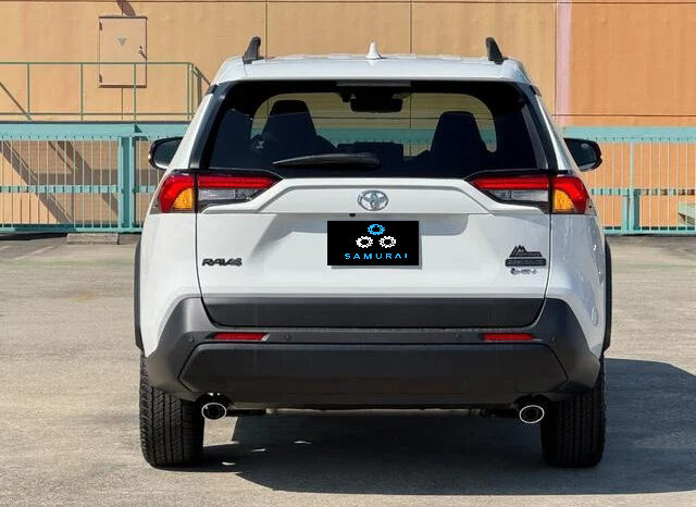 
								TOYOTA RAV4 HYBRID ADVENTURE OFFROAD PACKAGE II full									