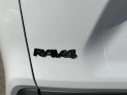 
										TOYOTA RAV4 HYBRID ADVENTURE OFFROAD PACKAGE II full									