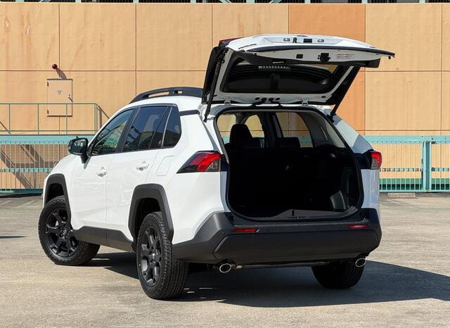 
								TOYOTA RAV4 HYBRID ADVENTURE OFFROAD PACKAGE II full									