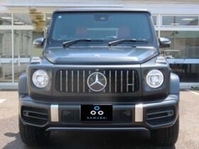 MERCEDES AMG G-CLASS G63 AMG LEATHER EXCLUSIVE PACKAGE