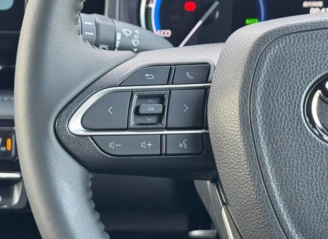 
								TOYOTA VOXY HYBRID S-Z full									